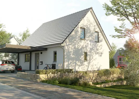 Einfamilienhaus-Flair-125-Eingang-Hang